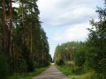 DSC03448