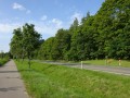 DSC03456