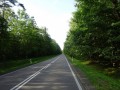 DSC03457
