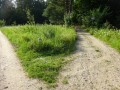 DSC03458