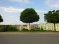 DSC03460