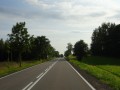 DSC03463
