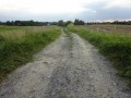 DSC03470