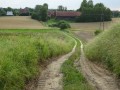 DSC03471