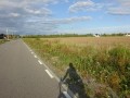 DSC03953
