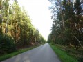 DSC03954