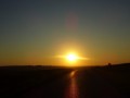 DSC03978