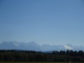 DSC03989