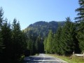 DSC04012