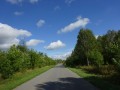 DSC01687