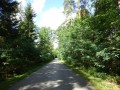 DSC01695
