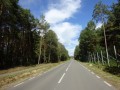 DSC01709
