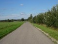 DSC01711