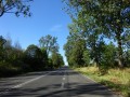 DSC01717