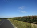 DSC01721
