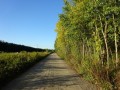DSC01728