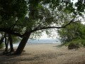 DSC00936