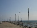 DSC00939