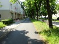 DSC00943