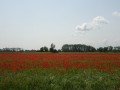 DSC00949