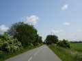 DSC00952