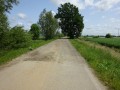 DSC00953
