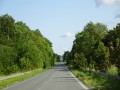 DSC00961