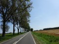 DSC01541