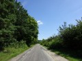 DSC01542