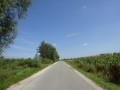 DSC01543