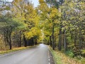 IMG_20261020_112934361_HDR