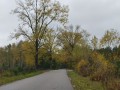 IMG_20261020_133327002_HDR