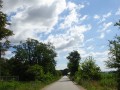DSC02876