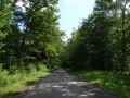 DSC02877