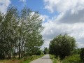 DSC02881