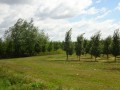 DSC02882
