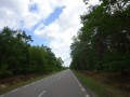 DSC02887