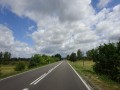 DSC02889
