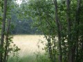 DSC02895