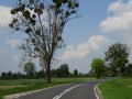 DSC02591