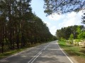 DSC02595
