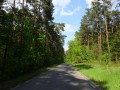 DSC02610