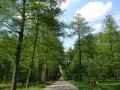 DSC02611