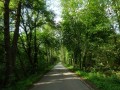DSC02617