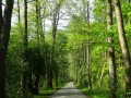 DSC02618
