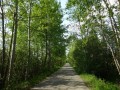 DSC02619