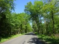 DSC02628
