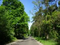 DSC02629