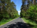 DSC02632