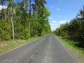 DSC02633